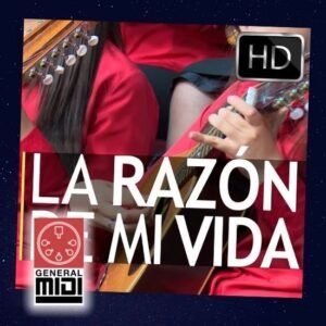 midi LA RAZON DE MI VIDA con el coro Meneab - muy bonita cancion ahora en midi (linea melodica)