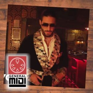 midi MARINERO por MALUMA de sus exitos (con linea melódica)