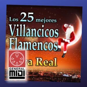 midi POBRE NACIO de Villancicos Flamencos de Raya Real (con linea melodica)